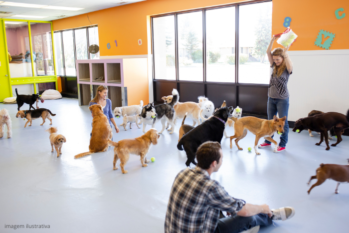 Imagem de aglomeração de cachorros em uma creche, cenário que facilita transmissão da Gripe Canina.