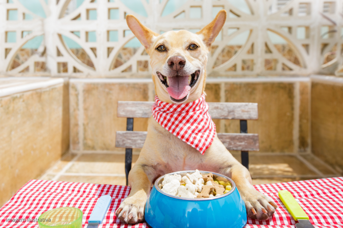 Cachorro realizando alimentação natural.
