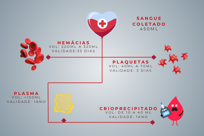 Fluxo detalhado do reaproveitamento de uma bolsa de sangue doada, com informações sobre hemácias, plaquetas, plasma e sangue crioprecipitado.